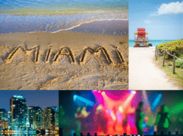 Travel to Miami - Destination Guide for Adventure Seekers