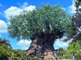 Walt Disney World - Tree of Life