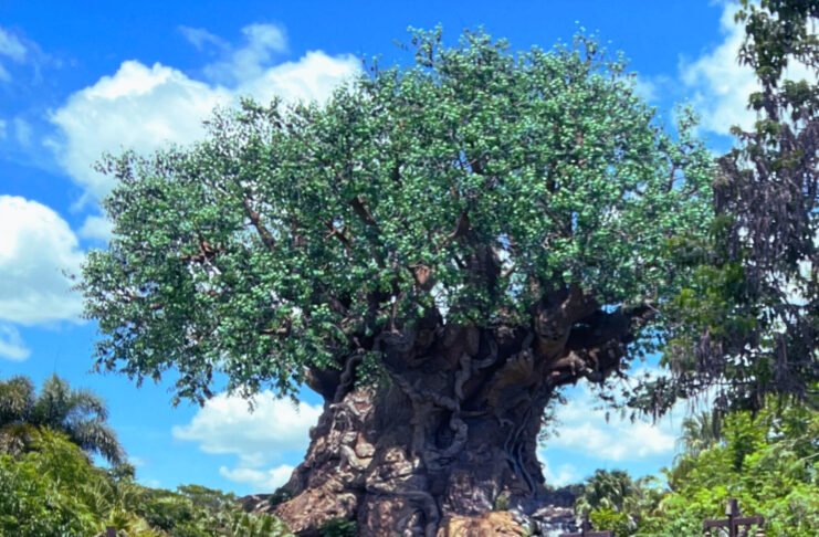 Walt Disney World - Tree of Life